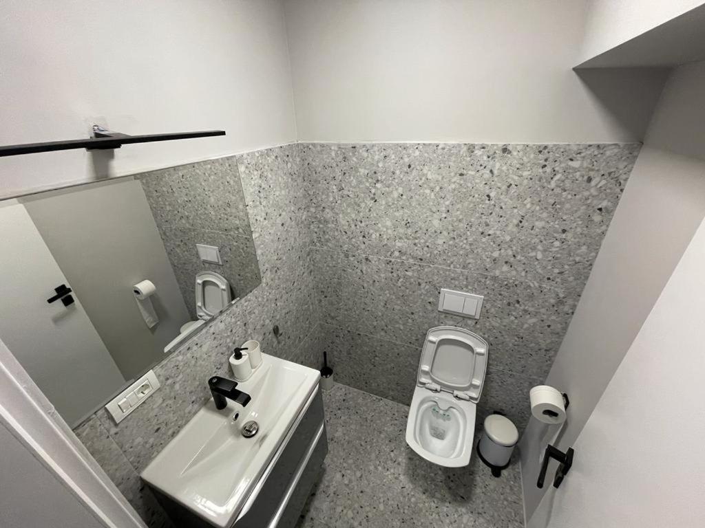 Sabrini Residence B3 Timisoara Old Town Dış mekan fotoğraf
